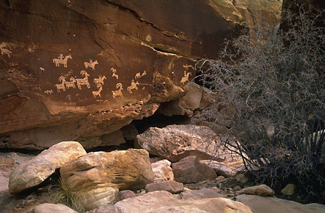 Wolf Creek  .JPG (122231 bytes)